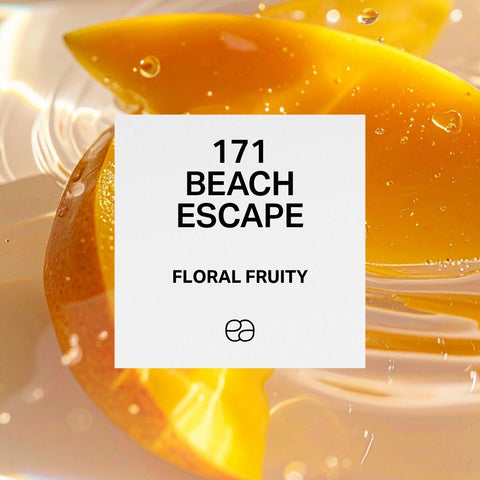 171 Beach Escape