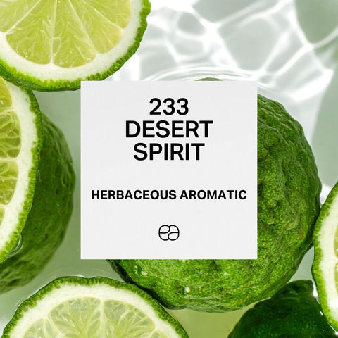 233 Desert Spirit