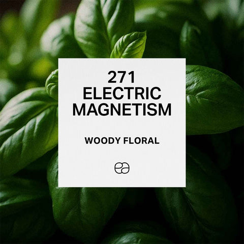 271 Electric Magnetism